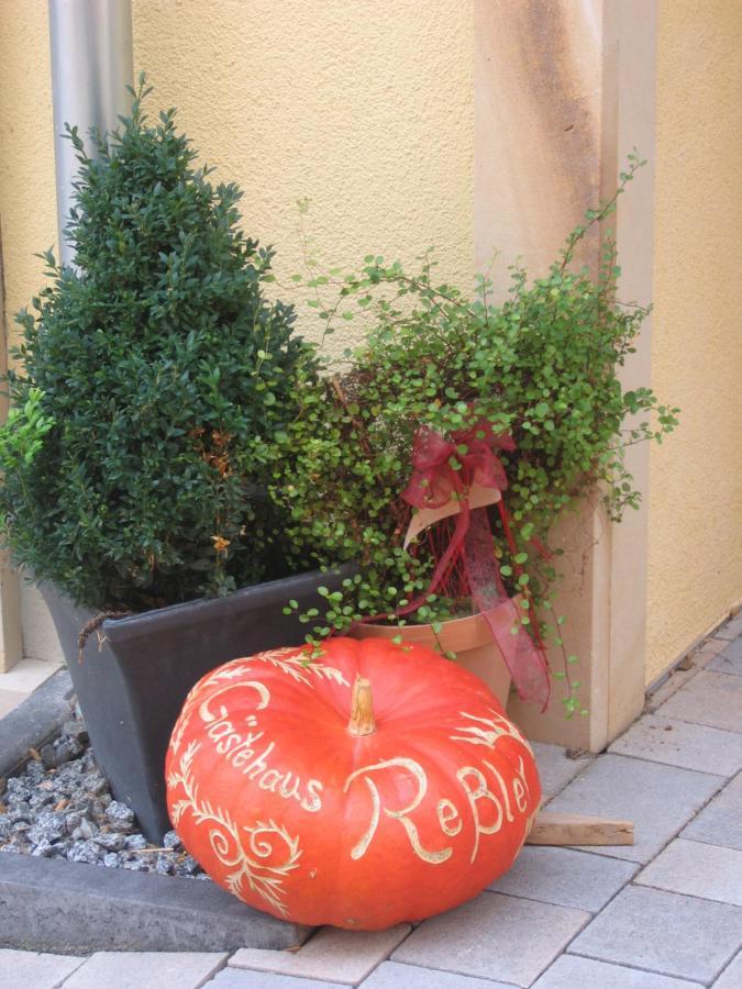 Gaestehaus Ressler Harxheim Dış mekan fotoğraf